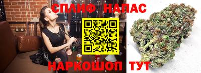 кокс Новокубанск